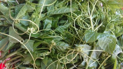 Đọt nhãn lồng lạc tiên tươi - 1kg - Hình ảnh 2