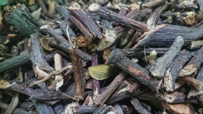 Gốc nhãn lồng lạc tiên phơi khô - 500gr - Ảnh 2